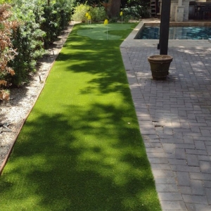 Photo of Houston Artificial Grass
