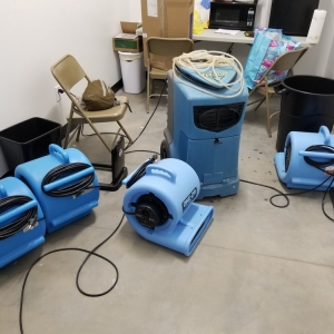 Photo of Genesis Carpet Cleaning