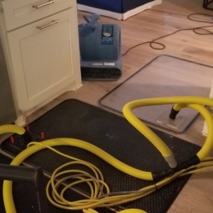 Photo of Genesis Carpet Cleaning