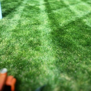 Wylie G & R Landscaping