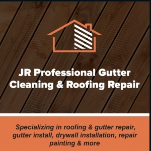 Photo of JR Professional Gutter Cleaning & Roofing repair