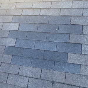 Photo of JR Professional Gutter Cleaning & Roofing repair