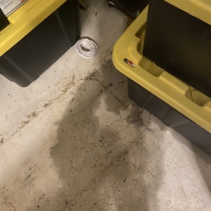 Photo of Proline Plumbing and Sewer