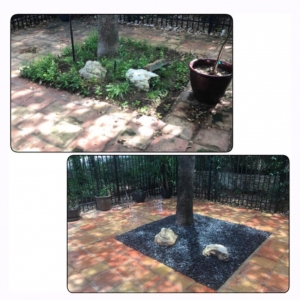 Photo of Blu Sol - Organic Landscape Gardening