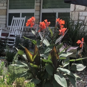 Photo of Blu Sol - Organic Landscape Gardening