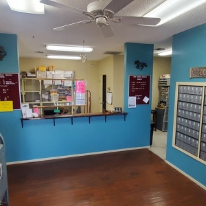 Photo of Pony Express Mail Box Services