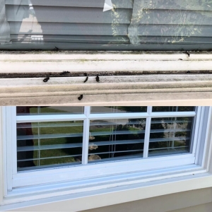 Hialeah Daniel's Window Cleaning