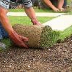 Photo of Hudson Lawnscapes