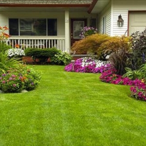 Photo of Hudson Lawnscapes