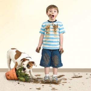 Indianapolis Indy Carpet Cleaning