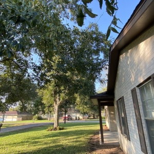 Katy On Point Tree Service