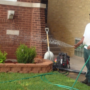 Chicago Wiley's Lawn Care