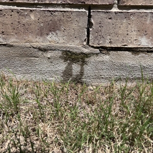 Photo of Ace Handyman Services Northwest San Antonio