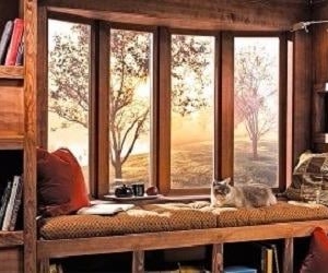 Photo of Solar Window & Door