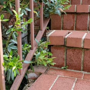 Photo of Evolution Chimney Services