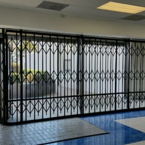 Photo of Custom Security Doors
