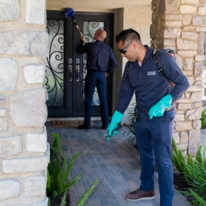 Photo of Admiral Pest Control