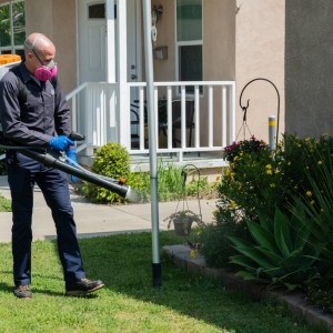 Photo of Admiral Pest Control