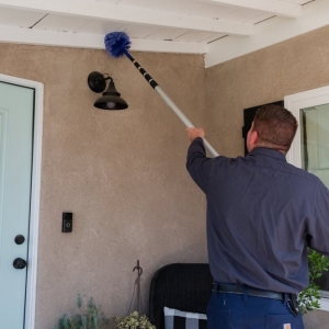 Photo of Admiral Pest Control