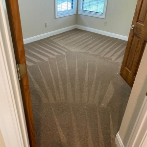 Photo of TruSteam Cleaning