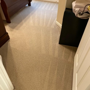 Photo of TruSteam Cleaning