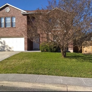 Photo of A Plus Lawn Care
