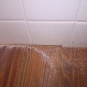 Photo of Reyes Resurfacing