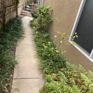 Photo of Cintas Landscape Service