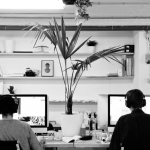 Photo of Prey Design Studio | Wix Website Designers