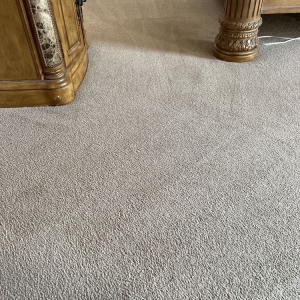 Photo of Elite Carpet Care