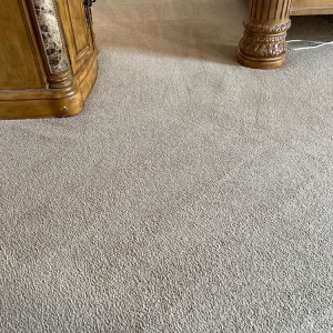 Photo of Elite Carpet Care