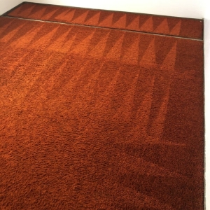 Photo of Elite Carpet Care