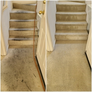 Photo of Elite Carpet Care