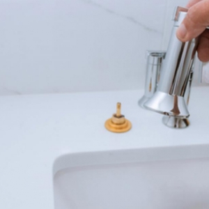 Anderson Royal Flush Plumbing