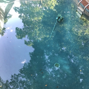Photo of Pool Doctor of OKC