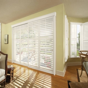 Coon Rapids Jonathan Window Designs