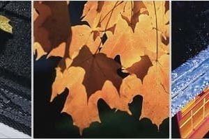 Photo of Sunshine Gutters