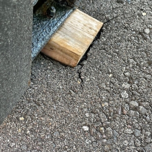 Photo of 1-800-PACK-RAT