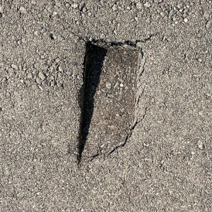 Photo of 1-800-PACK-RAT