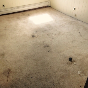 Medford Neat Freak Carpet Clean