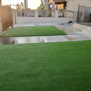 Inglewood Desert Turf
