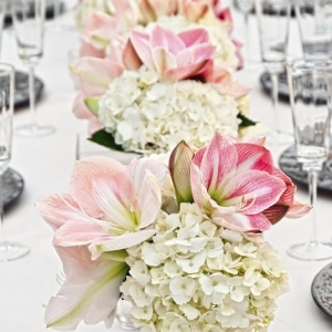 Photo of Lindsy Steinberg Events