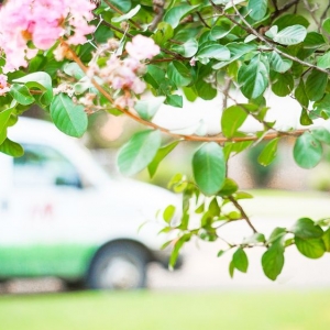 Photo of MasterScapes Lawn Care and Landscaping