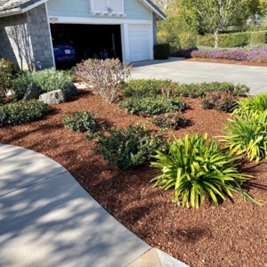 Photo of Montejo Landscaping