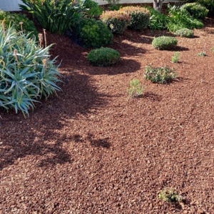 Photo of Montejo Landscaping