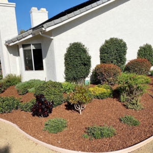 Photo of Montejo Landscaping
