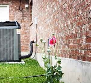 Photo of Midwest Contractor