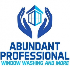 Photo of Abundant Professional Window Washing and more