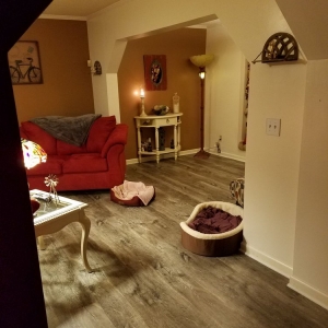 Photo of D&M Discount Floors