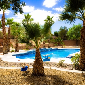 Photo of Full Pool Services